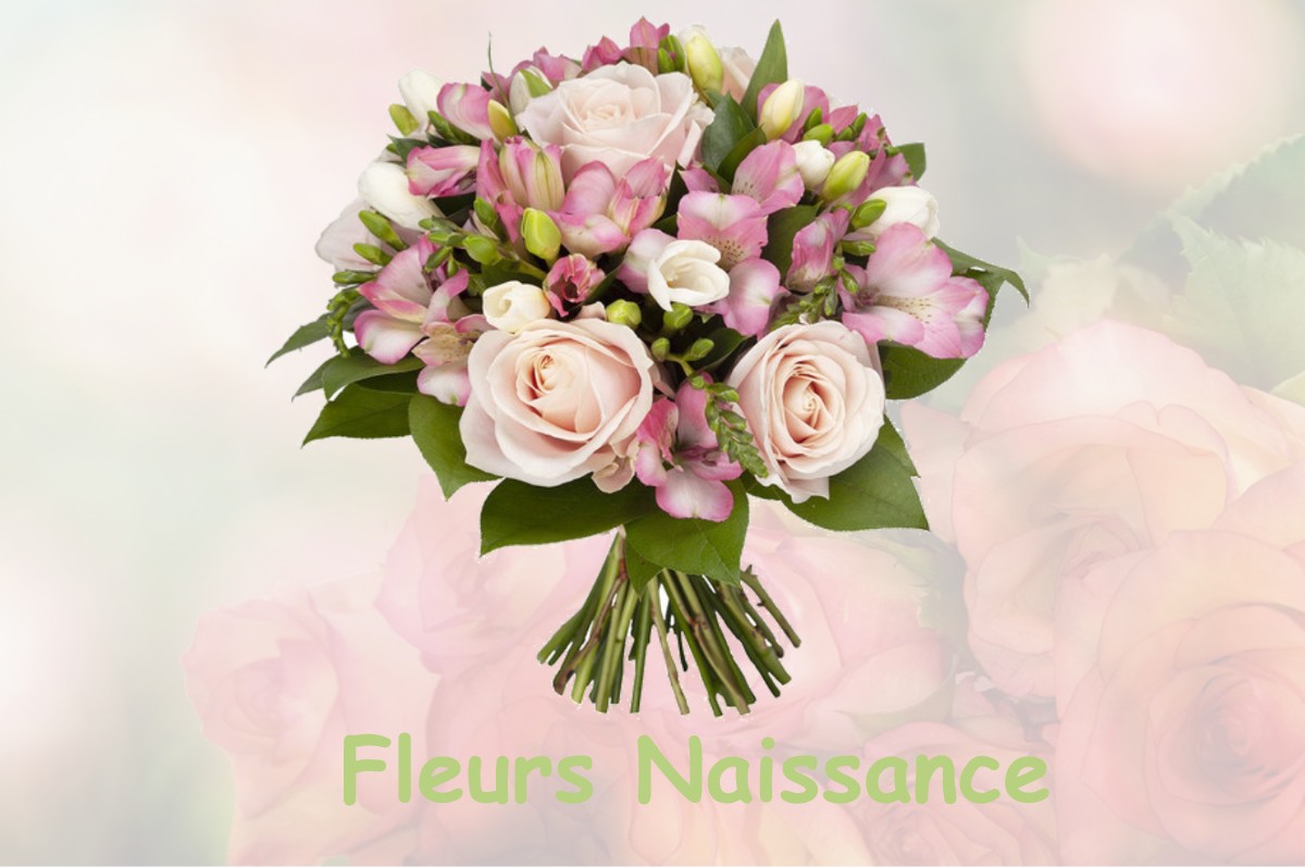 fleurs naissance AURIAC-SUR-VENDINELLE