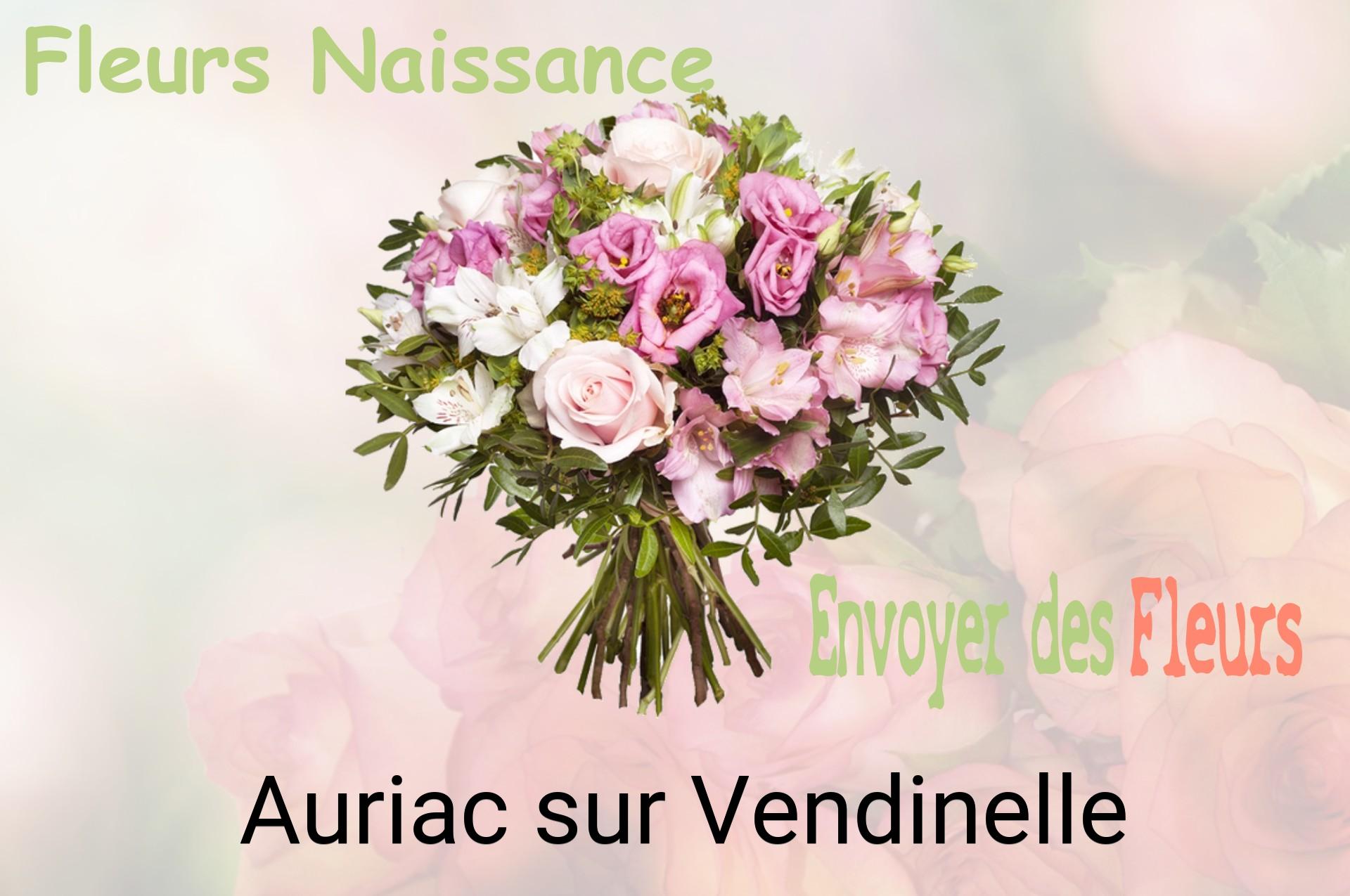 Bouquet de fleurs de naissance livré à Auriac-sur-Vendinelle