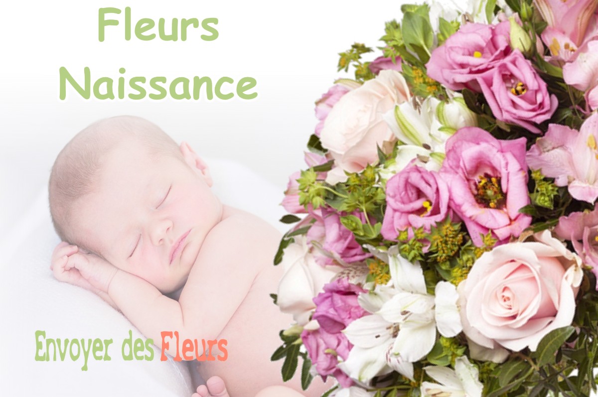 lIVRAISON FLEURS NAISSANCE à AURIAC-SUR-VENDINELLE